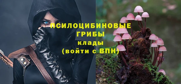 гашиш Абаза